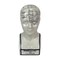 Ceramic Phrenology Bust Collectible Figurine Glossy White Scientific Decor